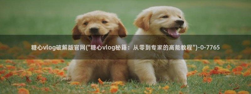 糖心vlog合法吗