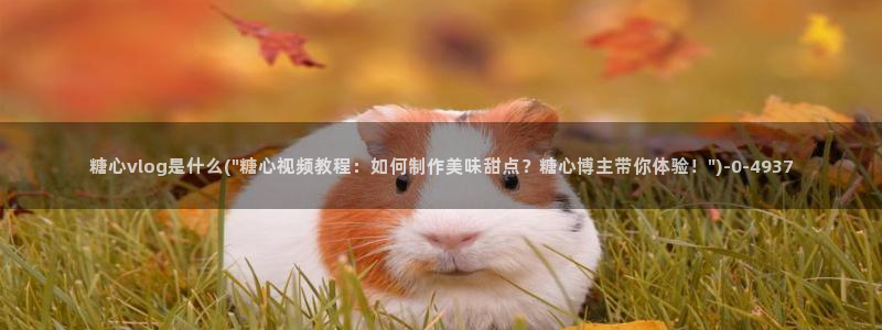 糖心vlog官网地址：糖心vlog是什么(\
