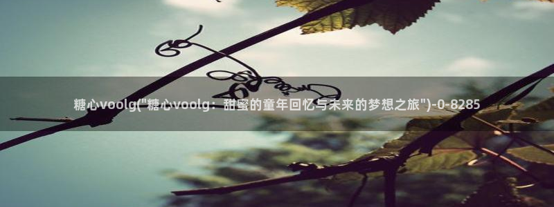 糖心vlog 破解版