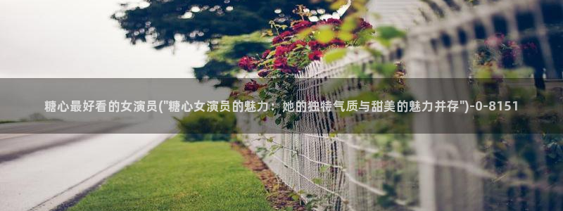 心糖vlog免费版在线观看免费
