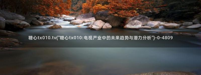 糖心vlog破译