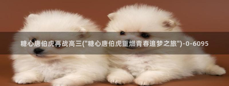 糖心vlog精产国品免