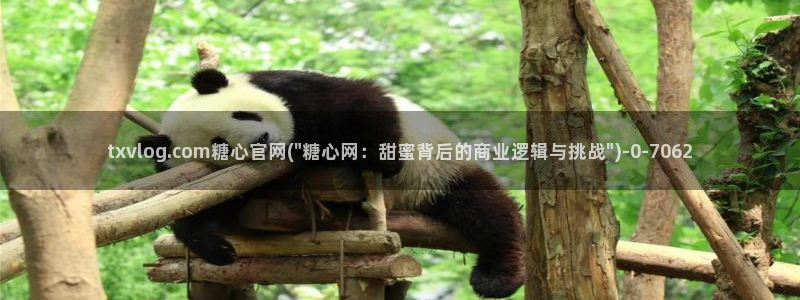 糖心vlog梦梦