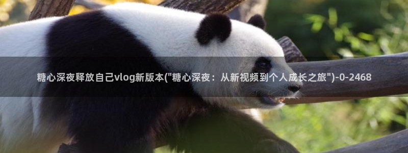 糖心vlog精品国产免费入