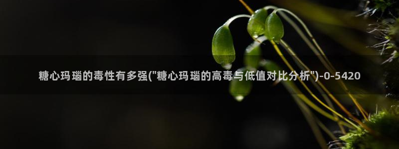捅主任糖心vlog：糖心玛瑙的毒性有多强(\