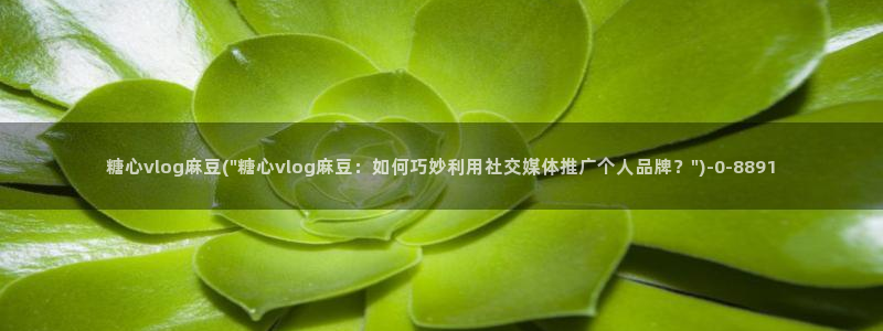 糖心vlog官方版